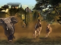 Baroudi - Action / Adventure