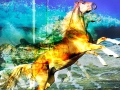 Whimsical
