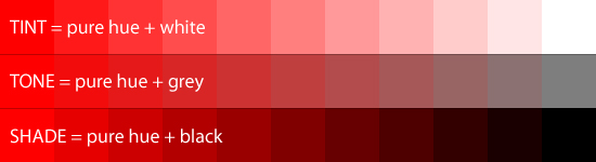 Pigment Scale